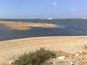 CNQ: Les zones humides de Cagliari (Adulte)