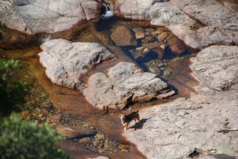 Visite aux cascades de piscina Irgas- Villacidro suivant les sentiers des charboniers