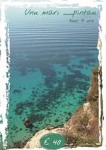 Une mer plein……. de couleur