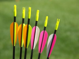 Attività di Tiro con l’Arco di Campagna in campo tiro