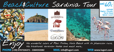 BEACH&CULTURE TOUR