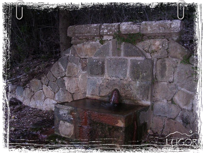 Sorgente Naturale